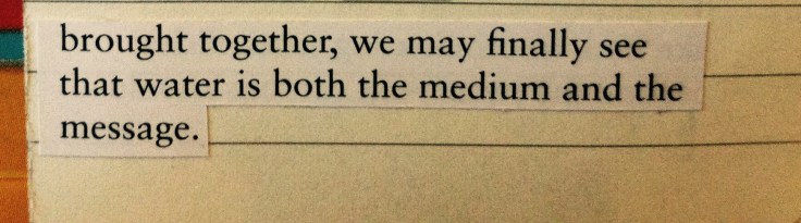27 colors arriving on the banks - 4).jpg